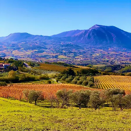 Alloggio per agriturismo Masseria Frangiosa Torrecuso