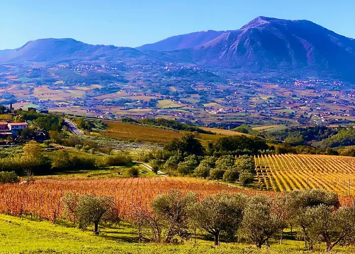 Κατάλυμα σε φάρμα Masseria Frangiosa Torrecuso